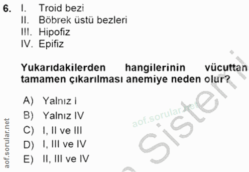 Soru 6
