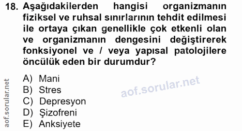 Soru 18