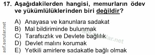 Soru 17