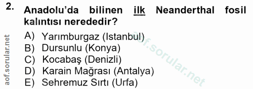 Soru 2