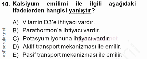 Soru 10