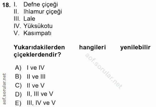Soru 18