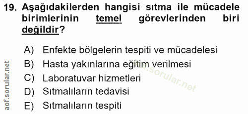 Soru 19