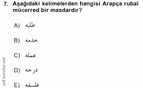 Soru 7