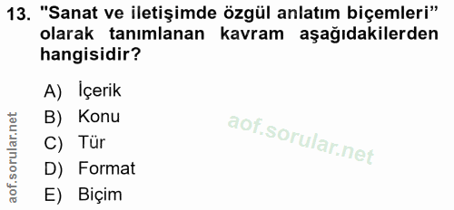 Soru 13