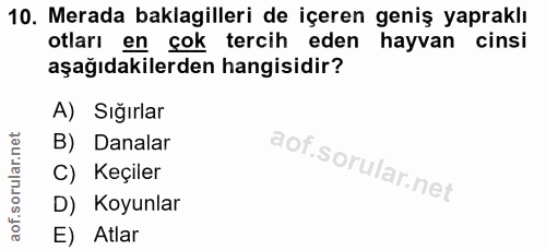 Soru 10