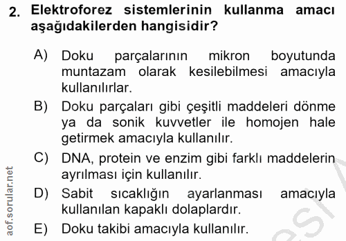 Soru 2