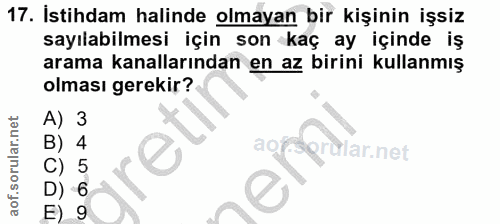 Soru 17
