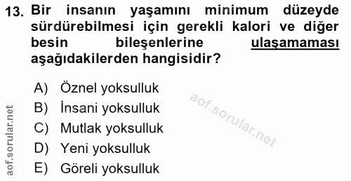Soru 13
