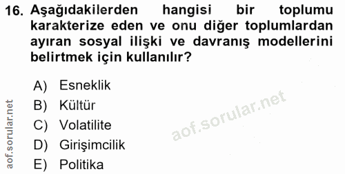 Soru 16