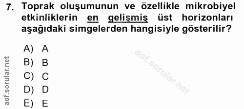 Soru 7
