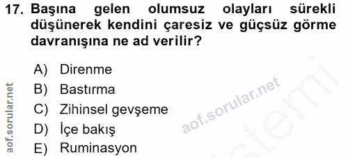 Soru 17