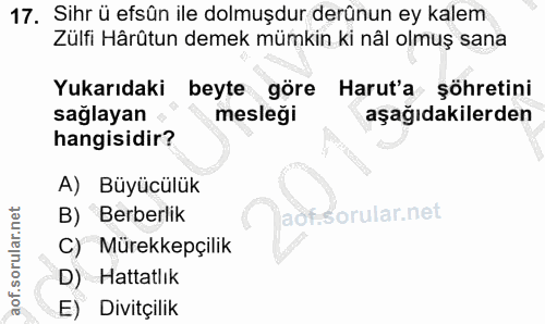 Soru 17