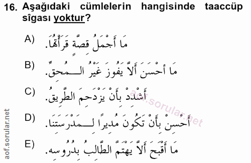 Soru 16