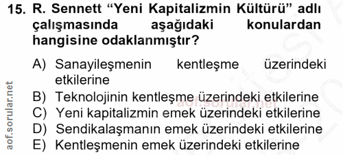 Soru 15