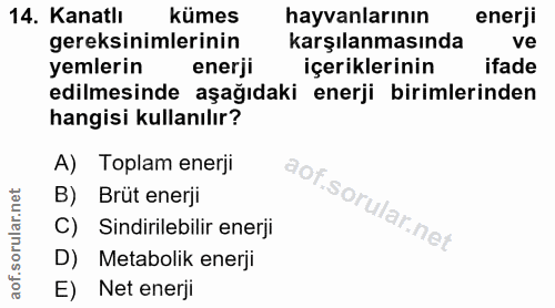 Soru 14