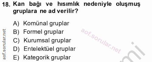 Soru 18