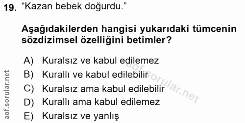 Soru 19