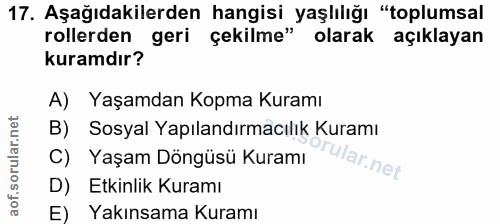 Soru 17