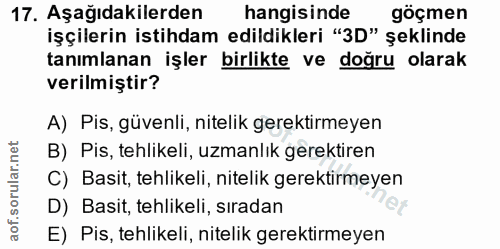 Soru 17