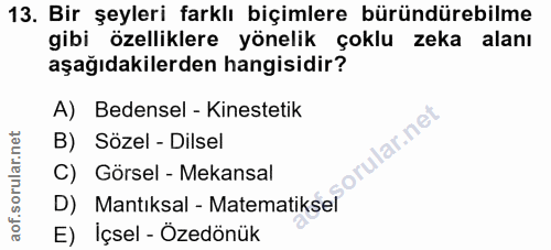 Soru 13