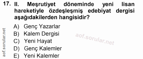 Soru 17