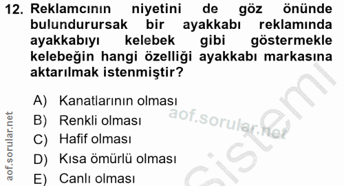 Soru 12