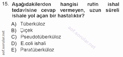 Soru 15