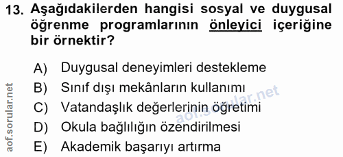 Soru 13