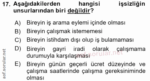 Soru 17