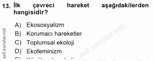 Soru 13
