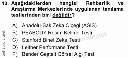 Soru 13