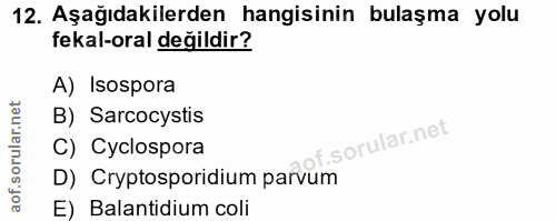 Soru 12