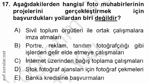 Soru 17