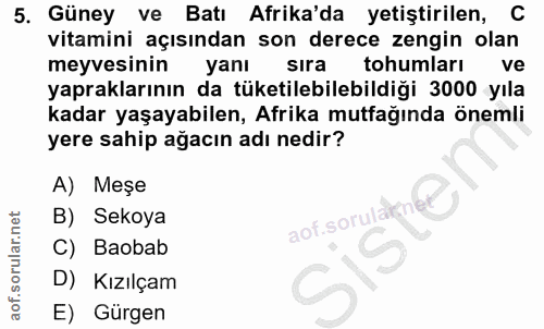 Soru 5