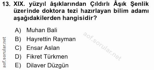 Soru 13