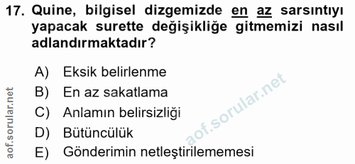 Soru 17