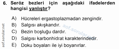 Soru 6