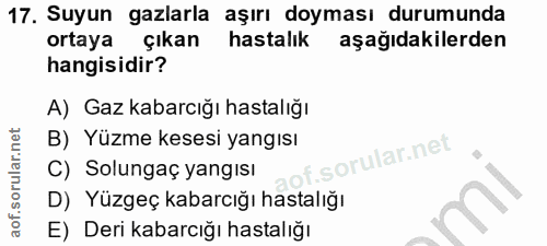 Soru 17