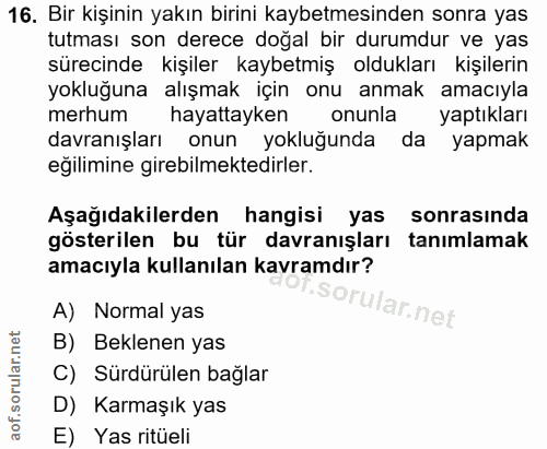 Soru 16