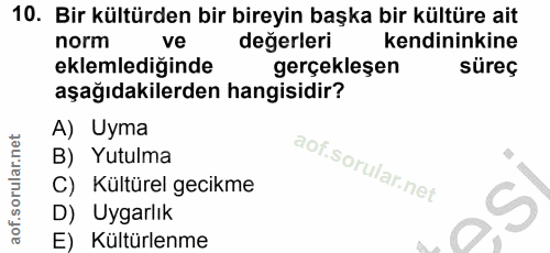 Soru 10