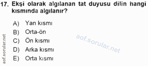 Soru 17