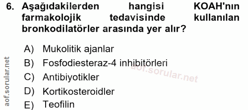 Soru 6