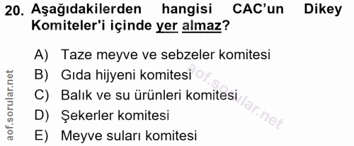 Soru 20