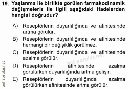 Soru 19