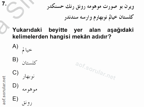 Soru 7