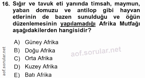 Soru 16