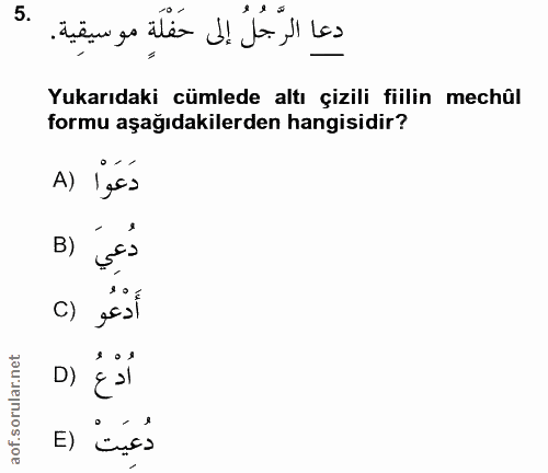 Soru 5