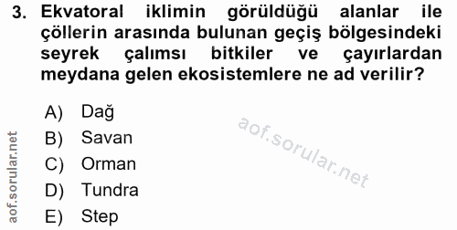 Soru 3