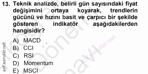 Soru 13